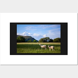 Evening sun, South Wales Posters and Art